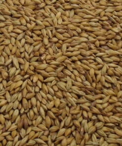 Barley, basemalt